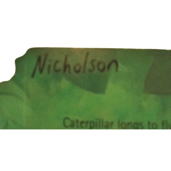 The Crunching Munching Caterpillar Board Book Sheridan Cain Jack Tickle - Picture 5 of 5